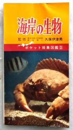 海岸の生物 ポケット採集図鑑3 久保伊津男 学研