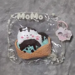 MoMo sky アザラシスイーツ チョコミント