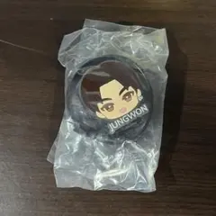 ENHYPEN カプセルラバーライトブレス　JUNGWON