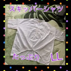 スキッパーシャツＬＬ