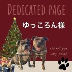 ゆっころん様専用