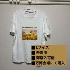 【新品】大阪•関西万博 EXPO2025トルクメニスタン Tシャツ EXPO2025 大阪 関西万博 UAE Tシャツ XL - メルカリ