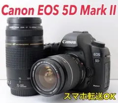 2025年最新】canon eos 5d mark ii レンズの人気アイテム - メルカリ