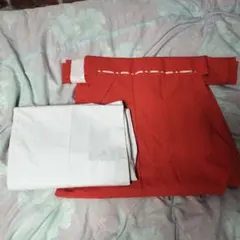 Item thumbnail for item 4a352961-52e9-439c-891c-d121c083dbc5