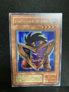 2026年最新】ビッグ・シールド・ガードナーの人気アイテム - メルカリ