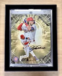 ブレーブス アクーニャJr 直筆サインフォト 2023 NL MVP 証明付 ブレーブス アクーニャJr 直筆サインフォト 2023 NL MVP 証明付 - メルカリ