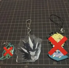 ぴぃ@プロフ確認推奨さま専用 ロウレスのアクキー