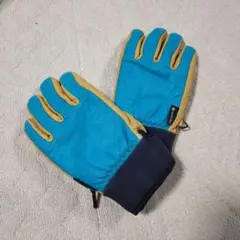⭐︎ HESTRA へストラ　レザーグローブ　ゴアテックス　サイズ9