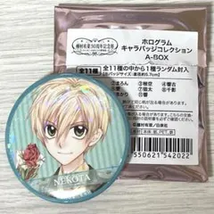 種村有菜30周年記念展 ホログラムキャラバッジコレクション 猫太