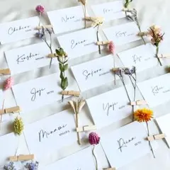 Item thumbnail for item 535d4810-5564-47a2-8c35-efdcd295a21e