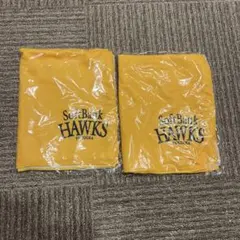 Item thumbnail for item 43555ecf-79d6-4cfd-941b-f277a3bdfb58