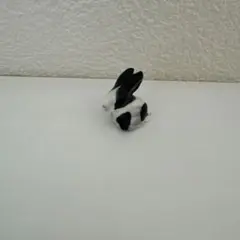鈴木環 フェーブ