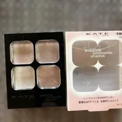 (限定色)ケイト ポッピングシルエットシャドウEX-6