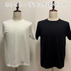 【美品】PLST プラステ メンズ Tシャツ 半袖 白黒2色セットのサムネイル