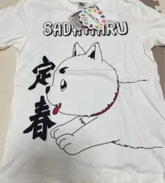 Item thumbnail for item 88420600-9d79-4be0-bc68-3a8f9c6e202e