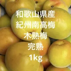 まもなく終了！和歌山県産 紀州南高梅 木熟梅 1kgのサムネイル