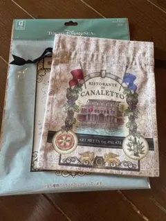 【新品未使用】 ディズニー ストーリービヨンド パラッツォカナル 巾着