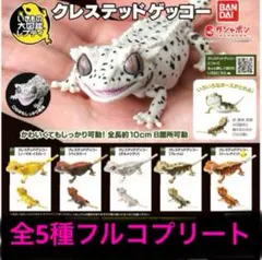 バンダイ いきもの大図鑑レプティ クレステッドゲッコー フルコンプ　フィギュア