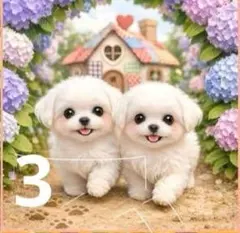 オーダーページ　ハンカチ170 りんご様パネル　わんこ柄　ハンドメイド4/22