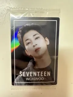 SEVENTEEN セブチ トレカ ウォヌ ウエハース ALWAYSYOURS
