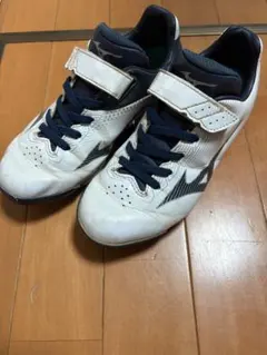 Item thumbnail for item 585498fa-b896-4494-b040-fd40d5dc0871