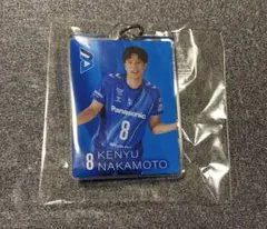 Item thumbnail for item 57debb7e-6234-4ef7-8cd7-7b60bae7ac84