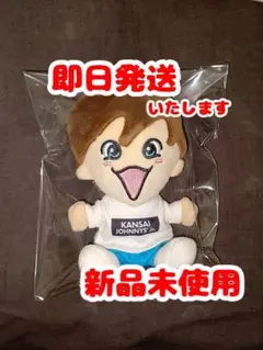 2026年最新】藤原丈一郎 ちびぬいの人気アイテム - メルカリ