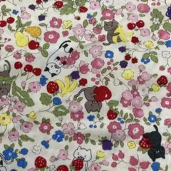 Item thumbnail for item d3d24bf4-0409-4e6c-becc-8cdd52d70cb7