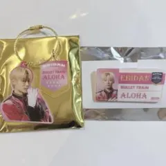 エビライ 2025 超特急 アロハ アクキー ネームバッチ EBiDAN