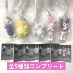 サンリオキャラクターズ ミニチュアチャーム ～ライブキャラクター～ コンプリート