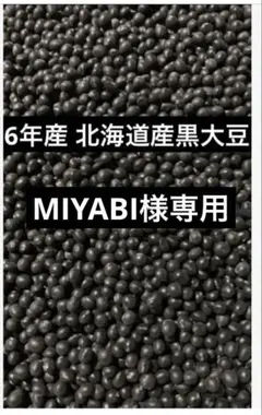 MIYABI様専用