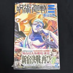 呪術廻戦モジュロ　2巻