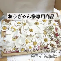 おうぎゃん様専用商品❤️ ハナミズキホワイト系mix 詰め合わせ