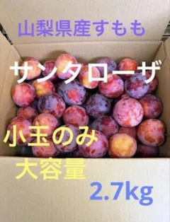 山梨県産 すもも サンタローザ 小玉 のみ2.7kg大容量　訳ありのサムネイル