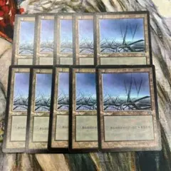 Item thumbnail for item c98c8b6a-e13d-4977-bd02-89698a05d6a9