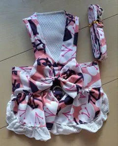 Item thumbnail for item 7329307b-01a3-4fbc-9b70-f58f52ca3daa