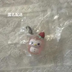 JOCHUM めじるしぽぽ JO1 川西拓実