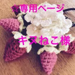 ☆ キヌねこ専用ページ