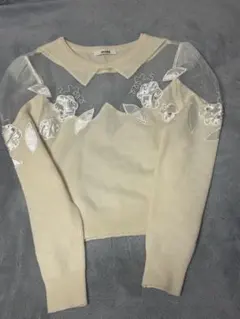 スナイデル　snidel 白　長袖　ニット　シースルー　サイズF アイボリー