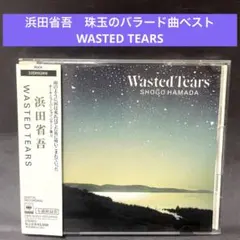 ［帯付良品］浜田省吾 〜Wasted Tears バラードコレクション第二弾