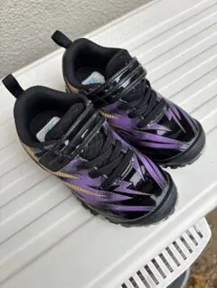 Item thumbnail for item 42049af5-3634-4c91-a650-8aa6e38fd301