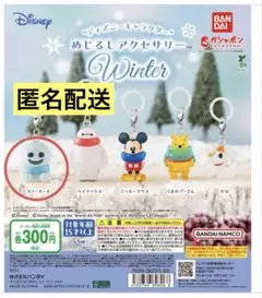 ディズニーキャラクター めじるしアクセサリー WINTER