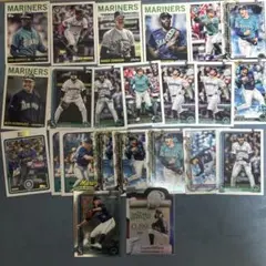 Item thumbnail for item 1250e257-825c-4730-9e23-e204302c9ae3