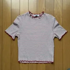 ZARA TRAFALUC コンパクトボーダーT 赤白　Sサイズ