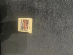 ポケットモンスター　Y