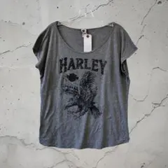 HARLEY-DAVIDSON イーグルTシャツ グレー MODESTO 古着