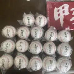第100回全国高校野球選手権記念大会 記念ボールセット 大阪桐蔭 金足 