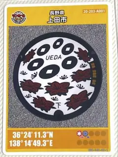 ⚫️マンホールカード 第18弾 長野県 上田市 A001 ロット016 匿名配送