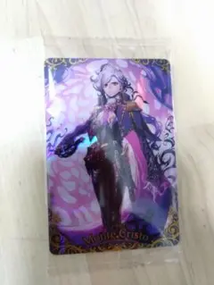 FGOウエハース14　巌窟王　モンテ・クリスト