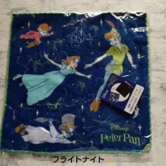 Disney ピーターパン フライトナイト 蓄光刺繍 ミニタオルのサムネイル